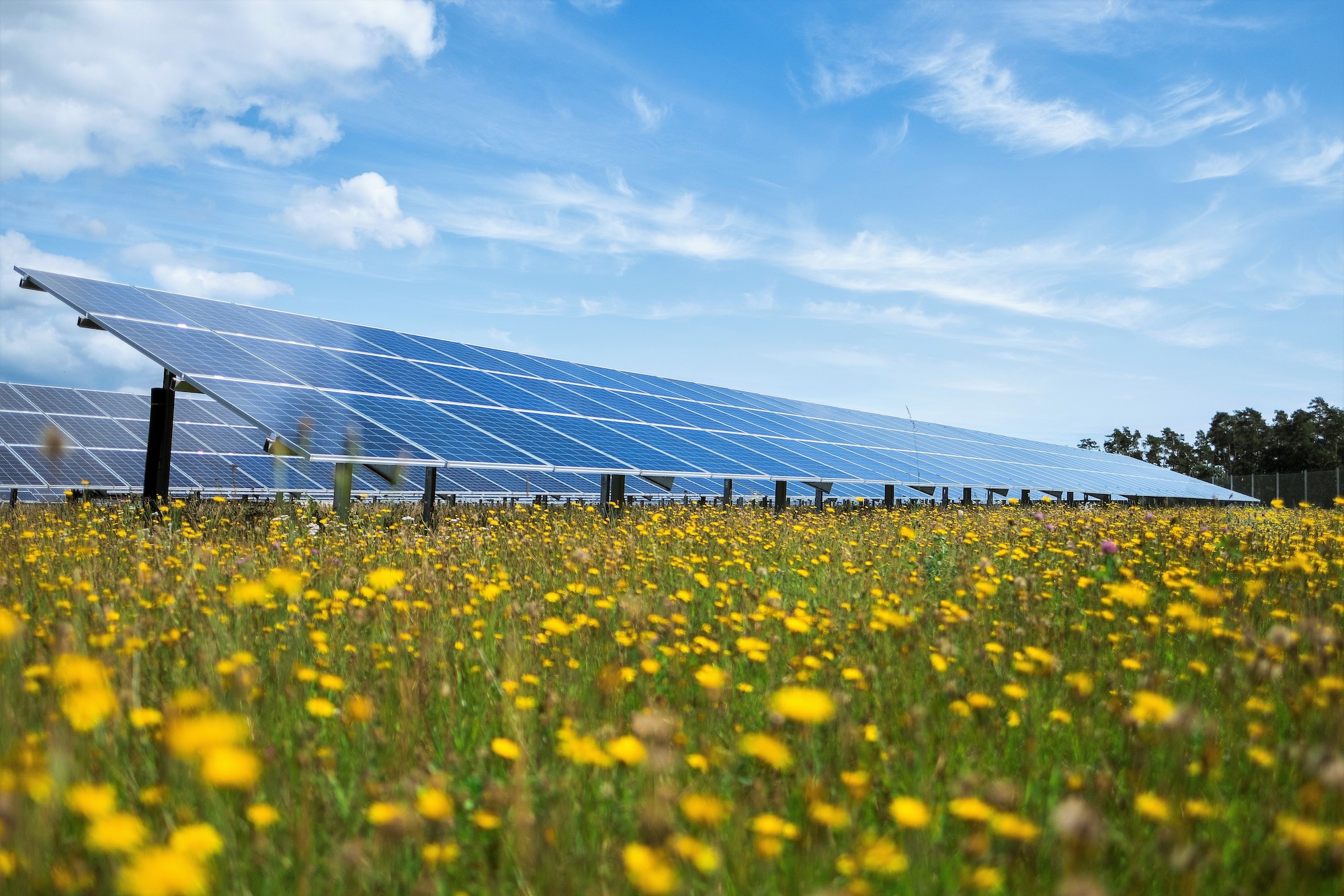 News rund um solar-konzept
