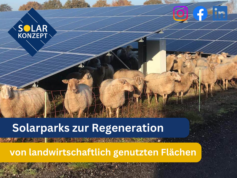 Solarparks zur Regeneration von landwirtschaftlich genutzten Flächen